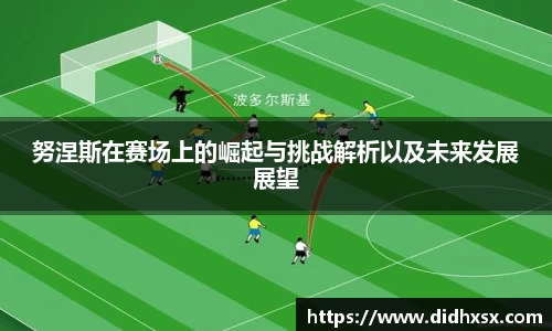 努涅斯在赛场上的崛起与挑战解析以及未来发展展望